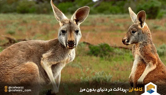 مهاجرت تحصیلی به استرالیا