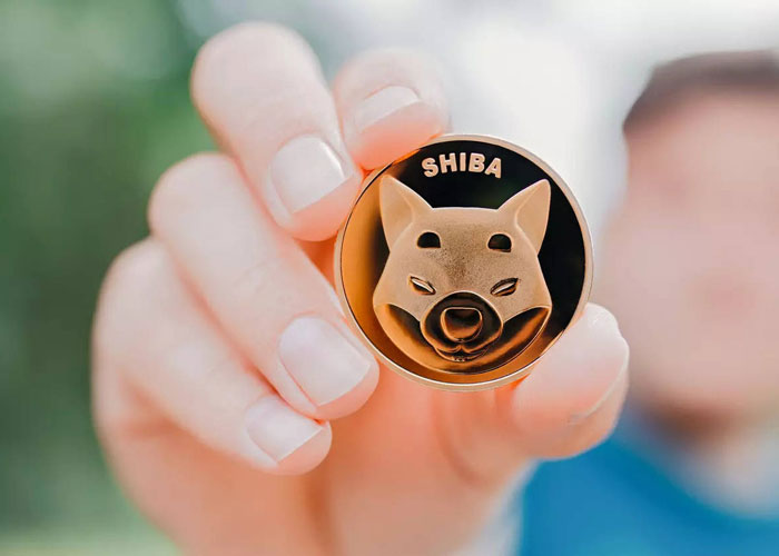 خطرات میم کوین‌ها