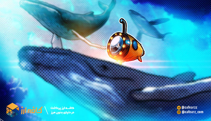 کانال نهنگ های ارز دیجیتال